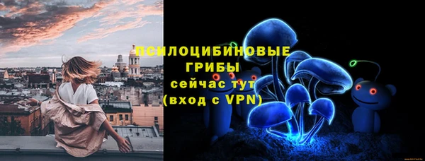 прущая мука Бородино